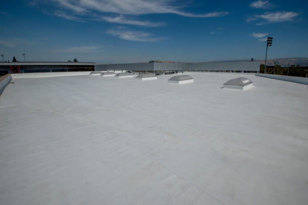 Best Roof Coating and Sealing  in Nixon, TX