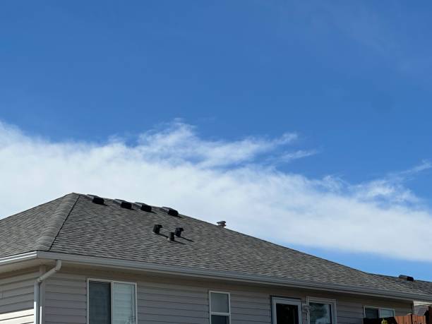 Best Gutter Installation and Repair  in Nixon, TX